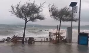 Tajfun ostavlja jeziv haos isa sebe! Vjetar čupao stabla, stotine hiljada ljudi traže skloništa