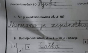 Mali kreativac! Školski zadatak jednog dječaka mnogima je izmamio osmijeh na lice