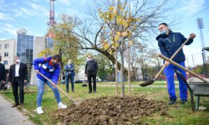 Banjaluka s razlogom “grad zelenila”: Nakon medicinara svoju aleju dobio i Borac