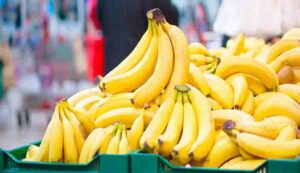 Radnica pozvala policiju! Među bananama u trgovini nađeno 18 kilograma kokaina