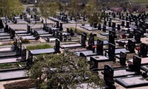 Grobnice na udaru lopova: Ukradeno više od 220 ukrasnih ručica od mesinga