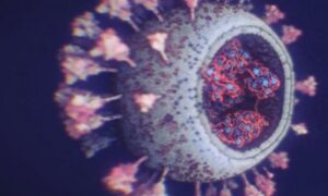 Ruski naučnici uvjeravaju: Evo kako izgleda novi soj korona virusa FOTO