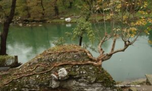 Pobjeda života! Banjalučka plaža Vrućica prepuna čari u svako doba godine