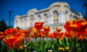 Za ljepši grad: Paketi tulipana „Banjaluka“ učesnicima akcije „Biramo najuređenije“