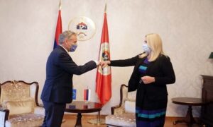 Cvijanovićeva sa Satlerom: Na dnevnom redu situacija u Srpskoj i BiH, te evropske integracije