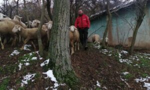 Doveo preko 300 ovaca u mjesto sa 20 ljudi: Albanac oživio zaboravljeno srpsko selo