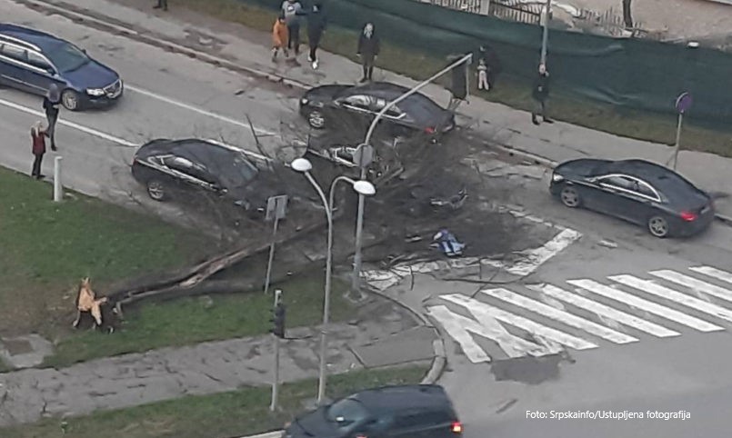 Budite oprezni! Snažan vjetar oborio stablo na automobile u Banjaluci FOTO