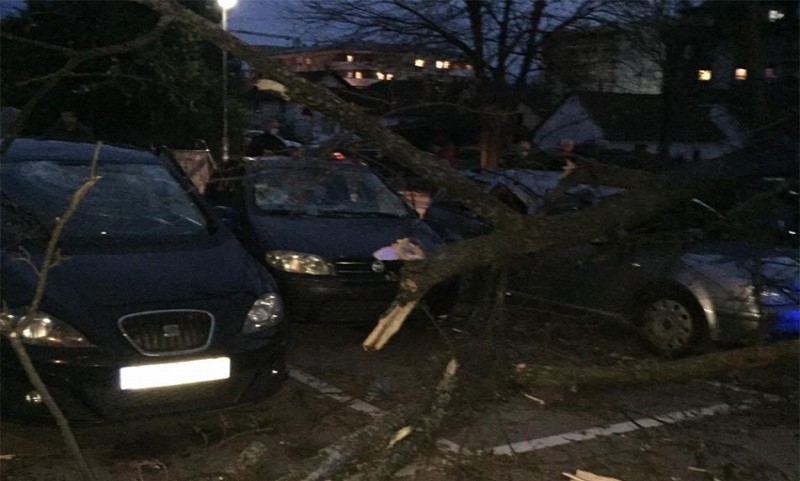 Banjaluka danas “nije bezbjedna”: Vjetar oborio stabla na parkirane automobile FOTO