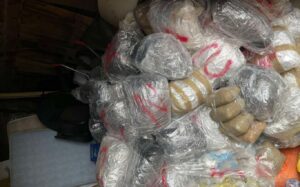 Zaplijenjena ogromna količina droge: Policija pronašla nekoliko stotina kilograma skanka