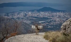 Šuker je spas: Magarac koji je dobio ime po ministru nosi hranu planinarima FOTO