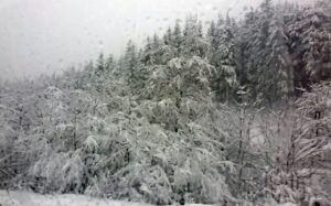 Zabijelilo se u Crnoj Gori: Na Žabljaku skoro metar snijega FOTO