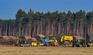 Zmije “pomrsile planove” milijarderu: Zaustavljena gradnja Tesline fabrike kod Berlina