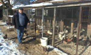 “Bio sam praktično otpisan”: Uzgojem ukrasnih kokošaka izliječio depresiju