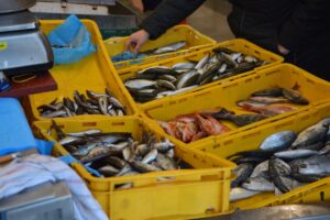 Škotski ribari obustavili izvoz robe na tržište EU
