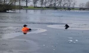 Heroj društvenih mreža! Slučajni prolaznik skočio u zaleđeno jezero i spasio psa