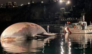 Trup kita od 70 tona uplovio u luku Sorento FOTO
