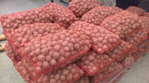 Podrška poljoprivrednicima u Nevesinju: Proizvođači krompira dobijaju pomoć