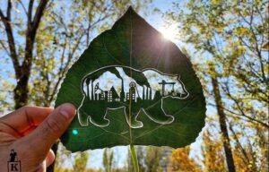 Mladi Kazahstanac stvara nevjerovatna umjetnička djela na listovima drveća FOTO