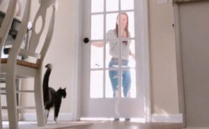 Raznježiće vas! Vlasnica snimila srceparajuću reakciju “ostavljene” mačke VIDEO