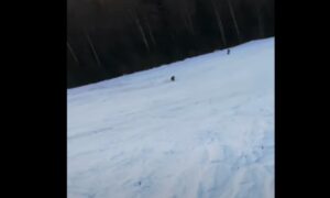 Jedva izvukao živu glavu! Nimalo prijatno iskustvo, mladića na skijalištu juri medvjed VIDEO