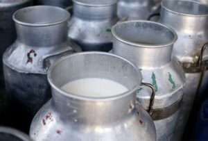 Zabilježen pad! U novembru prikupljeno 19.619 tona kravljeg mlijeka u BiH