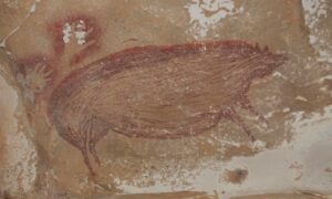 Pronađena najstarija slika na svijetu, na njoj – svinja
