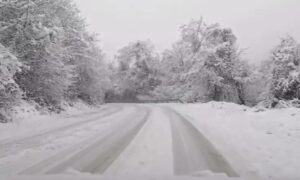 Snijeg stvorio probleme: Srušena bandera i drvo blokirali put u Bastastima