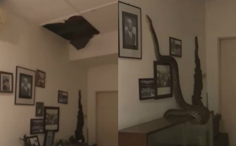 Ostala u šoku: Najprije mislila da je neko provalio u kuću