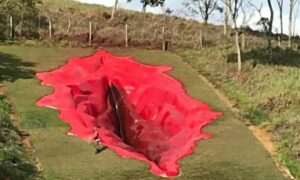 Komšije nisu srećne: Umjetnica na brdo postavila vaginu koja je visoka 33 metra FOTO