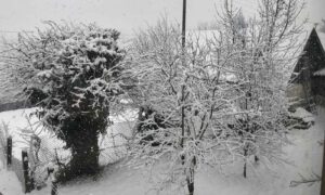 BiH očekuje hladnija zima: Padavine ispod višegodišnjeg prosjeka
