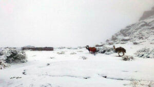 Meteorološko iznenađenje! Snijeg prekrio pustinjski pijesak u Saudijskoj Arabiji