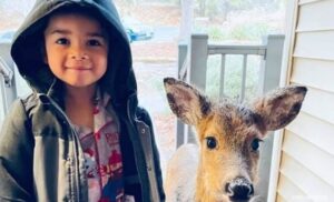 Fotka je brzo postala viralna: Dječak iz šume kući doveo neobičnog prijatelja