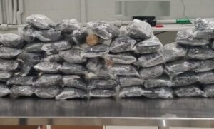 Skriven u više od 1.700 limenki: Otkriveno rekordnih 16 tona kokaina u Evropi