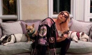 Pjevačica ponudila pozamašnu nagradu: Vraćeni psi Lejdi Gage koji su oteti tokom šetnje