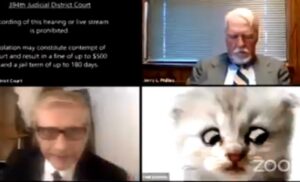 Hit društvenih mreža! “Advokat mačak” nasmijao svijet – pogledajte i zbog čega VIDEO