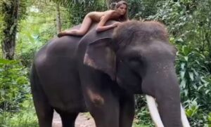 Sve za lajk! Gola pozirala na ugroženoj vrsti slona, naljutila društvene mreže VIDEO