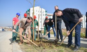 Počela proljećna sadnja drveća: Stanivuković želi da Banjaluka potvrdi epitet grada zelenila
