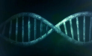 Još jedan uspjeh naučnika: Otkriven misteriozni DNK koji sadrži gene drugih organizama