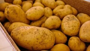 Sadrži mnogo vitamina: Evo zašto je krompir dobar za zdravlje