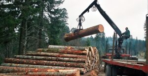 U Srpskoj ostvarena veća proizvodnja i prodaja šumskih sortimenata