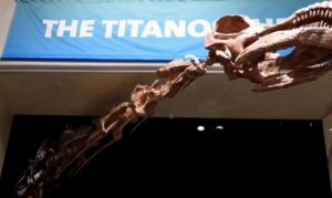 Naučnici otkrili fosil najstarijeg dinosaurusa