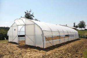 Šansa za srbačke poljoprivrednike: Plastenici za 30 domaćinstava