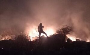 Teška noć za vatrogasce! Ugašen požar na brdu Gat koji je “prijetio” crnogorskoj šumi