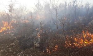 Požarna linija se širi prema planini: Buktinja u bilećkim selima ne prijeti naseljima