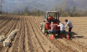 Novi udar na džepove građana: Sjetva u BiH skuplja za čak 50 odsto