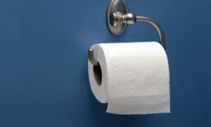 Ove metode su danas nezamislive: Čime su se ljudi brisali prije toalet papira?