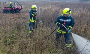 Gasili požare, spasavali životinje… Banjalučki vatrogascima pune ruke posla