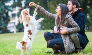 Ukoliko se odlučite da imate kućnog ljubimca: Obavezna stavka – posjeta veterinaru