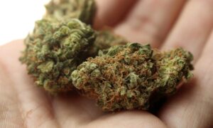 Pretres u Doboju! Policija o oluku vikendice našla marihuanu i amfetamin spid