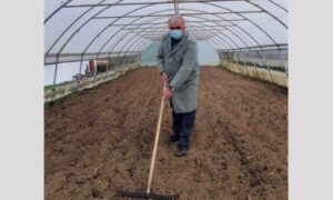 Uzgajaju povrće za ishranu svojih radnika: Banjalučka “Bema” nastavila sa tradicijom